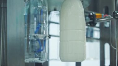 Plastik şişeler sütle doluyor. Süt, süt fabrikasındaki plastik şişelere dökülüyor.