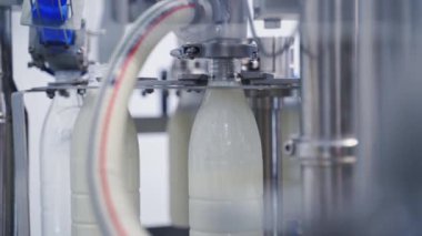 Plastik şişeler sütle doluyor. Süt, süt fabrikasındaki plastik şişelere dökülüyor.