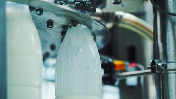 Botol Plastik Diisi Dengan Susu Susu Dituangkan Dalam Botol Plastik — Stok Video