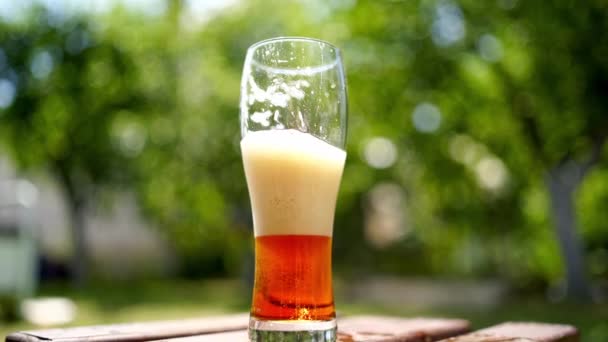 白い泡が屋外で冷たいビールの半分ガラス 夏は青みがかった緑色をした泡の濃いビール — ストック動画
