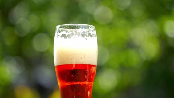 Auf Einer Sommerterrasse Steht Ein Glas Bier Volles Glas Dunkles — Stockvideo