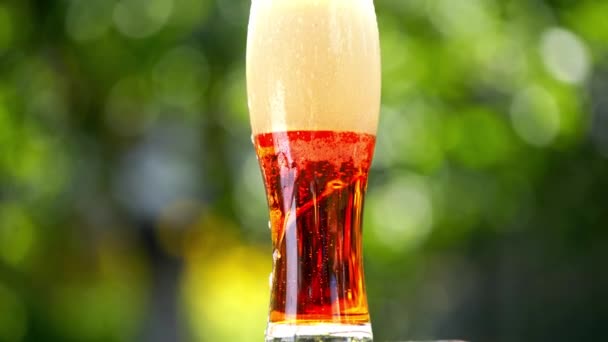泡がガラスの泡で暗いビールになる白い泡 背の高いガラスの背景に泡立つアルコール飲料 — ストック動画