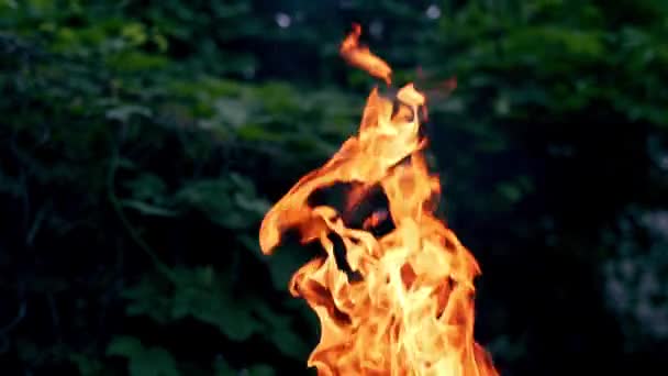 Brennendes Feuer Kamin Aus Nächster Nähe Kopierraum — Stockvideo