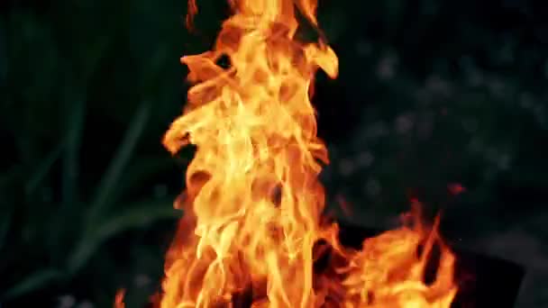 Brinnande Eld Öppen Spis Nära Håll Kopiera Utrymme — Stockvideo
