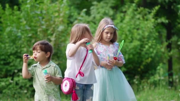 Leuke Kinderen Die Zich Vermaken Het Park Kleine Meisjes Een — Stockvideo