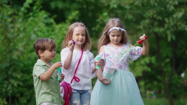 夏天的一天 快乐的孩子们在公园里休息 小孩子们在户外绿树成荫的背景上吹气泡 — 图库视频影像