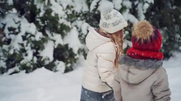 冬の森の中で2人の子供のバックビュー エンベロープを持つ子供たちは屋外で雪の背景にサンタへの道を見つけようとします — ストック動画