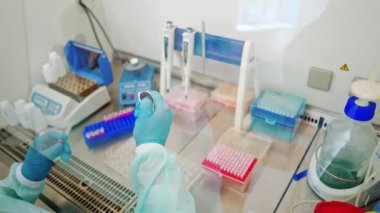 Steril masada deney tüpleri olan tıp bilimcilerinin yakın plan çalışmaları. Laboratuvarda plastik şişelerle çalışan kadın asistanın koruyucu eldivenleri..