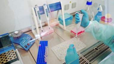 Test tüpleriyle çalışan tıbbi asistanların mavi koruyucu eldivenleri. Araştırmacı özel bir aletle şişelere sıvı damlatıyor. Yakın plan..