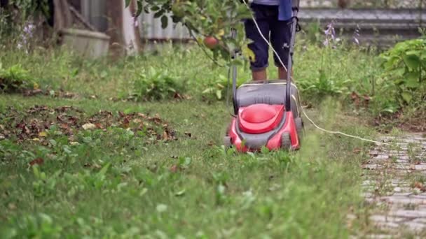 Man Werkt Met Een Rode Grasmaaier Gras Proces Van Het — Stockvideo