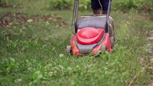 Hausbesitzer Die Garten Arbeiten Mähen Mit Dem Rasenmäher Das Grüne — Stockvideo