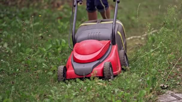 Cortacésped Proceso Trabajo Sobre Hierba Verde Vista Cerca Cortadora Césped — Vídeos de Stock