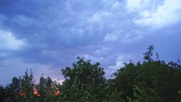 夏には曇りの空に稲妻 緑の木々の上に明るい雲と空に強く印象的な稲妻 — ストック動画