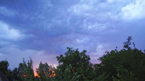 强风在闪电的背景下摇曳着天上的树梢 傍晚时分 蓝天上闪烁着强烈的闪电 云彩飘扬 — 图库视频影像