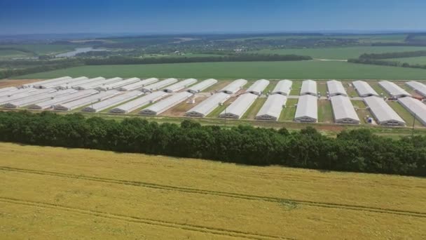 Vista Aérea Sobre Telhados Fazendas Modernas Campo Vista Lateral Edifícios — Vídeo de Stock