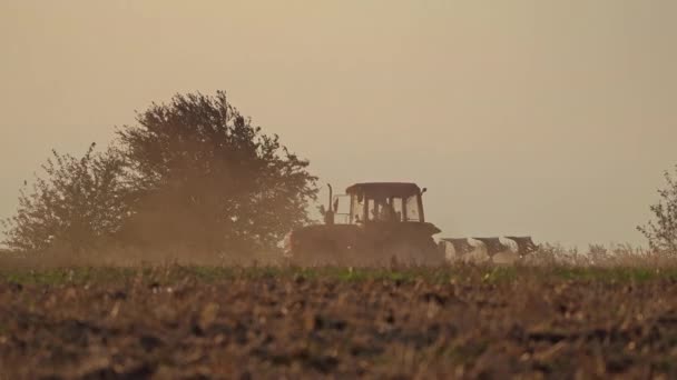 Tractor Werkt Avonds Het Veld Landbouwwerkzaamheden Met Een Natuurlijke Achtergrond — Stockvideo