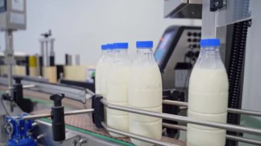 Süt ambalajlamak için otomatik şirket. Taşıma bandında taze beyaz süt olan plastik şişeler. Modernize edilmiş mandıra fabrikası.