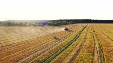 Traktör tarlada kuru otları topluyor. Kare balyalar saman topladıktan sonra traktörden geliyor. Mevsimlik çalışmalar yazın doğal ortamda yapılır. Hava görünümü.