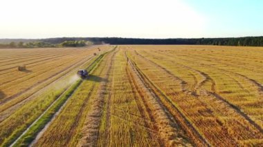 Araba yaz günü sahada olacak. Kurumuş saman balyalarıyla altın tarlanın içindeki yolda otomobil sürücüsü. Hava görünümü.