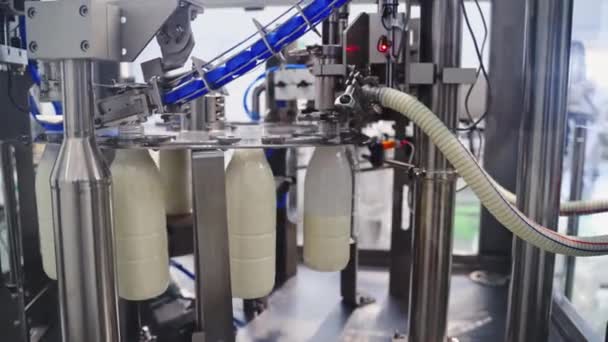 Robotyczny Proces Napełniania Butelek Mlekiem Fabryce Mleko Wlewa Się Plastikowych — Wideo stockowe