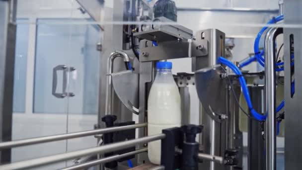 屋内でのロボット工場の酪農業 コンベアラインに牛乳が移動するボトル 乳製品の近代技術 — ストック動画