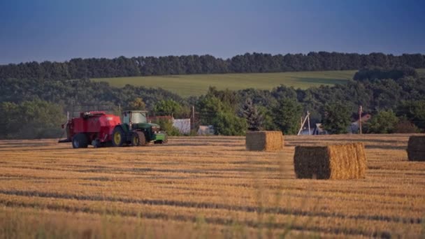 広場のベールとフィールド上のトラクター 夏に乾燥干し草を押す農業機械は — ストック動画