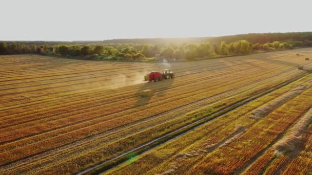 拖拉机正在美丽的田野背景上收集干草 农业机械在季节性工作 向前移动相机 — 图库视频影像