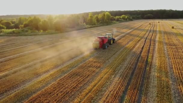阳光灿烂的日子里 黄色的田野上挂着红色的拖拉机 夏天收获干草 农业机械正在把干草捆成正方形的捆 空中景观 — 图库视频影像
