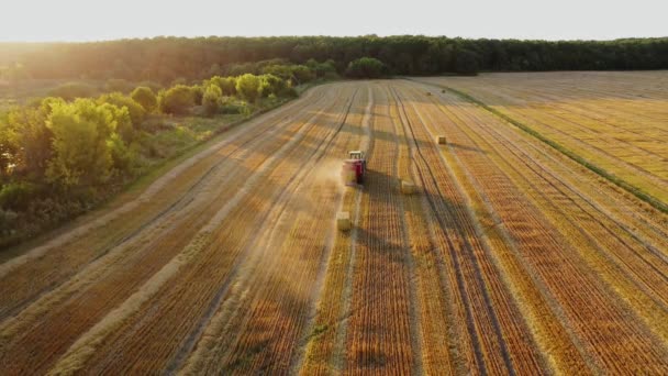 Tarım Makinesi Güneşli Bir Yaz Gününde Tarlada Çalışır Traktör Kuru — Stok video