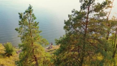 Genç çiftin havadan görünüşü su kenarında sarılıyor. Su zemininde güzel yeşil çam ağaçları ve mutlu bir erkek ile kadının birlikte vakit geçirmesi..
