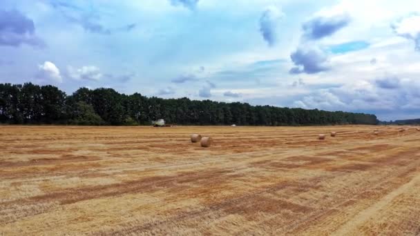 蓝天下的季节工作中的金色田野 田野的自然景观和在白天工作的农业机械 空中景观 — 图库视频影像