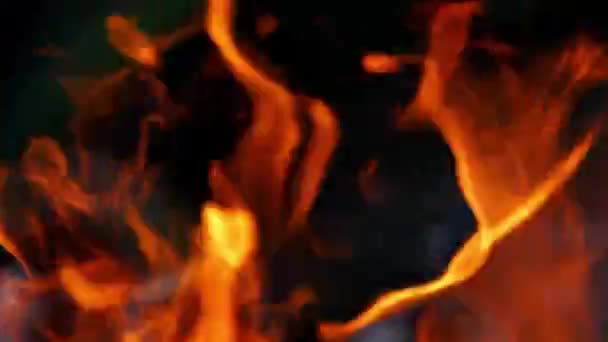 夜间篝火熊熊燃烧 燃烧的原木在橙色的火焰中 熊熊烈火 — 图库视频影像