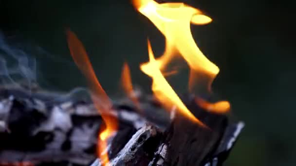 Yanan Ahşap Şenlik Ateşi Geceleri Yanıyor Ateşin Içinde Sıcak Kömür — Stok video