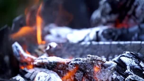 Burning Wood Quema Fuego Una Chimenea Casa — Vídeo de stock
