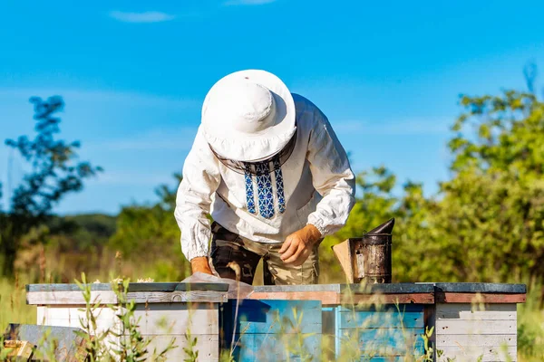 養蜂家は養蜂家の蜂や養蜂家と協力しています 養蜂家 — ストック写真