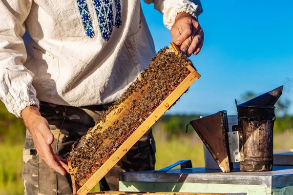 Apicoltore Sta Lavorando Con Api Alveari Sull Apiario — Foto Stock