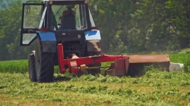 Traktör ormanın yakınındaki tarlada yeşil çimleri kesiyor. Yaz aylarında çiftlik hayvanlarına yem hazırlamak için mevsimlik işler sırasında yeşil tarlalarda tarım çalışmaları.