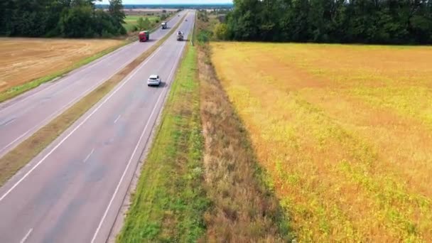 高速道路上の白い車の空中ビュー 畑と緑の木々の間の道路上の車の動きのトップビュー — ストック動画
