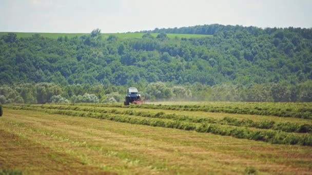 Landwirtschaftliche Arbeiten Auf Der Grünen Wiese Sommer Traktoren Ernten Gras — Stockvideo