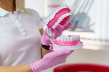Doktor plastik çene örneğinde ya da diş tedavisinde farklı yöntemler gösteriyor. Modern diş sağlığı kliniği geçmişi. Doktorun ellerinde pembe tıbbi eldivenler. Diş hijyeni ve sağlık konsepti. Çeneye implantlar.