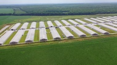 Açık havada çiftçilik yapmak için beyaz binalar. Kırsal kesimde modern tarım arazisi. Doğal çevredeki uzun çiftlik ahırlarının dışında. Kamera geri gider.