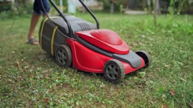Elektrikli çim biçme makinesi bahçedeki çimleri buduyor. Yaz avluda çalışıyor. Açık havada çim biçme süreci.
