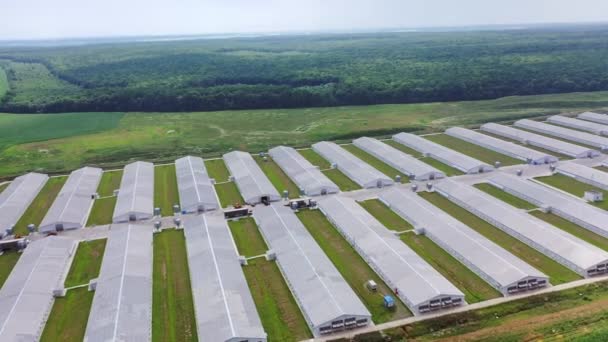 Vista Aérea Sobre Telhados Edifícios Agrícolas Modernos Campo Vista Cima — Vídeo de Stock