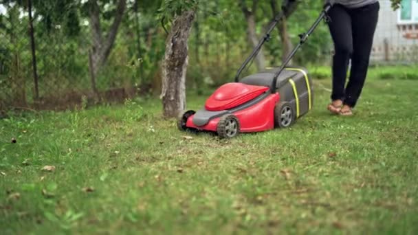 Woman Legs Lawn Mover Machine Outdoors Lawn Mower Cutting Grass — Stock Video