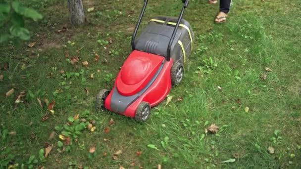 Lawn Mower Cutting Grass Backyard Modern Machine Mowing Grass Outdoors — Stock Video