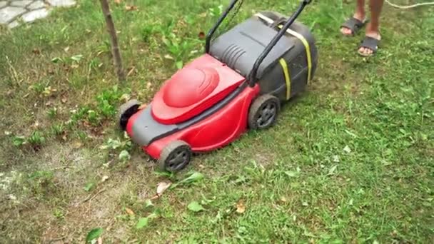 Junge Arbeitet Hof Mit Rasenmäher Elektrische Maschine Mäht Gras Garten — Stockvideo