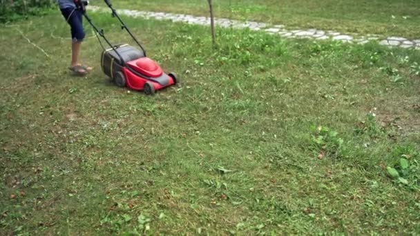 Elektrischer Rasenmäher Garten Junge Mäht Sommertagen Gras Mit Rasenmähmaschine Gartenarbeit — Stockvideo