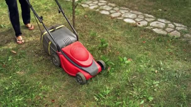 Mujer Está Cortando Césped Con Cortacésped Jardinero Con Cortacésped Eléctrico — Vídeos de Stock