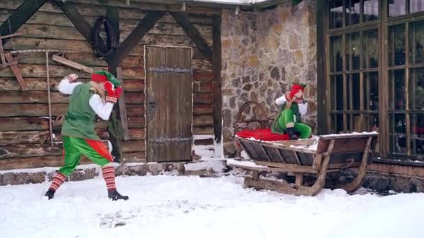 Elfos Alegres Jugando Bolas Nieve Aire Libre Elfo Femenino Sentado — Vídeo de stock