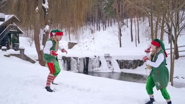 两个穿着绿色服装的滑稽精灵在冬天的背景下快乐地玩耍 一个侏儒掉进了河边的白雪中 圣诞节快乐 — 图库视频影像